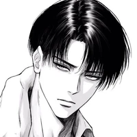 Levi