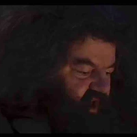 Rubeus Hagrid 