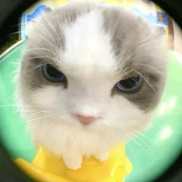 Tác giả siêu siêu lười