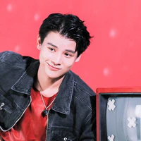 phạm đình thái ngân
