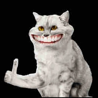 Một con lười bị flop