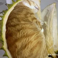 tác giả ham ngủ☺