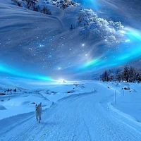 đây cân tất cả nvp