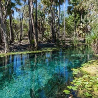 tạo ra chỉ để dịch tiếng nước ngoài:)