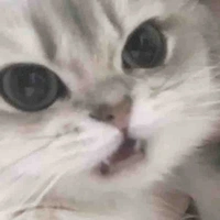 Thằng mất dậy nào đó 