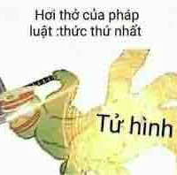 Các chú pikachu “dễ thương”