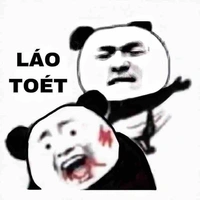 Nhóm của những con báo (nhóm vie)