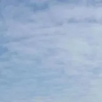 Tác Giả Yêu Màu Xanh💙