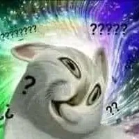 ？