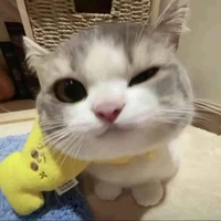 Tuii là tác giả