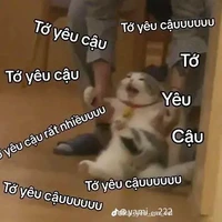tg mew