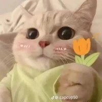 bé boy
