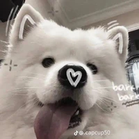 baby