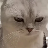 trừ ai thì trừ