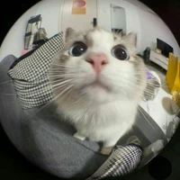 Tg Cũng Có Vẻ Đeptrai