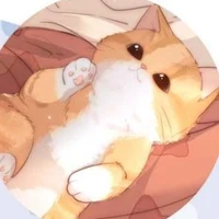 bibi (mèo của Du)