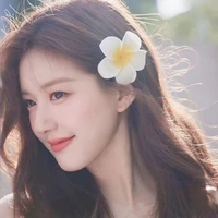 Triệu Lộ Tư