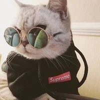 đạo diễn trẩu tre