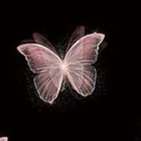 저자는 스윙 taekook