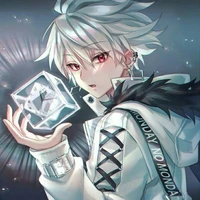 hashiba tensai(silver wolf)