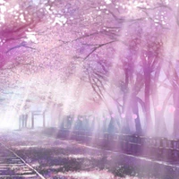 tg(himora sakura)