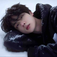 Kim Seokjin 