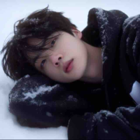 Kim Seokjin 