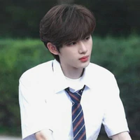 Đinh Trình Hâm