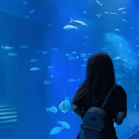 31𝓽𝓱10