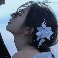 Liễu Như Đào/ Tra nữ