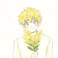 nirei akihiko