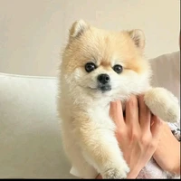 Tác giả đây!