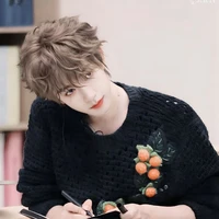 Hạ Tuấn Lâm