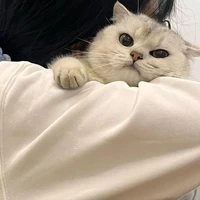 Thảo Tiên_liwq
