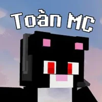 toàn