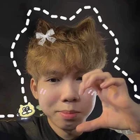 Nguyễn Hữu đạt_phoenix