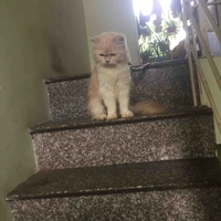 Sốp iu của mấy bạn