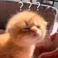 Tác giả ngáo