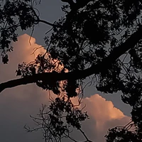 Đa nhân vật