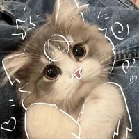 Rui - Germany ( Dạng Thú )