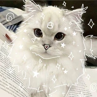 Wanderer - Kazuha - Xiao