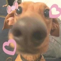 Tac gia cutiii