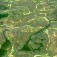 Âm giọng kì lạ