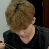 SGP phoenix (phượng hoàng lỏ🤡)