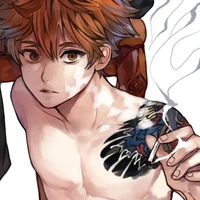 Hinata Shoyo•The Sun