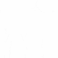 Lớp 1-1
