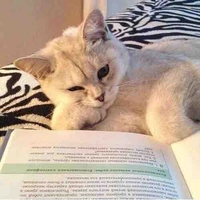 Tác Giả