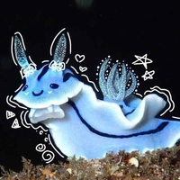 Tác giả - Phong Lăng