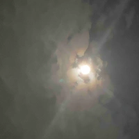 Nhân vật chưa xuất hiện