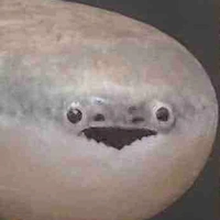 [ 𝙽𝚑â𝚗 𝚟ậ𝚝 𝚚𝚞ầ𝚗 𝚌𝚑ú𝚗𝚐 ]